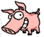 cochon