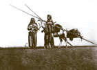 lakotas