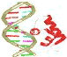 bioinfolyon